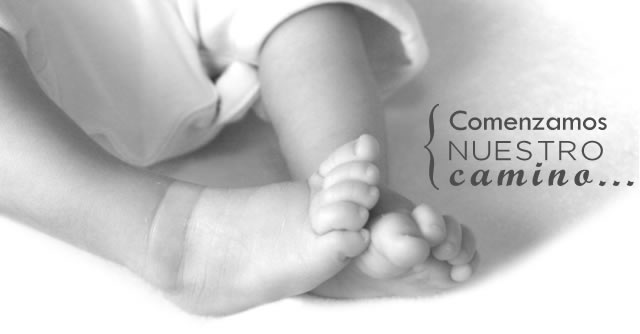 Bienvenidos al Instituto FARO