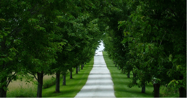 Presentaci&oacute;n Instituto FARO