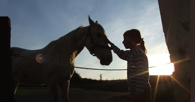 Escucha "SER animales" en Radio Castell&oacute;n Cadena SER