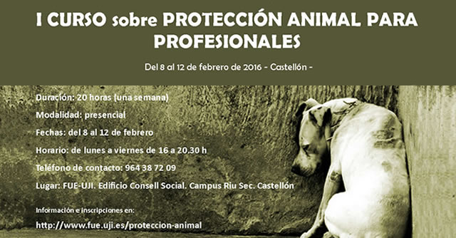 I.Curso de formaci&oacute;n para profesionales