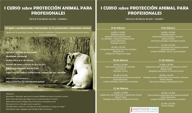 I.Curso de formaci&oacute;n para profesionales